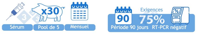 Positif instable faible prévalence (I-B). OPTION 1) Sérum de 30 porcelets au sevrage analysé mensuellement en « pools » de cinq. Soixante-quinze pour cent (trois sur quatre) des échantillons doivent être négatifs au SDRPv (par RT-PCR) sur une période de 90 jours pour entrer dans cette catégorie.