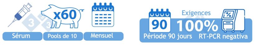 Positif stable (II). OPTION 1) Sérum de 60 porcelets au sevrage analysés mensuellement en « pools » de dix. Tous les lots sur une période de 90 jours doivent être négatifs pour le SDRPv par RT-PCR pour être admissibles à cette catégorie.