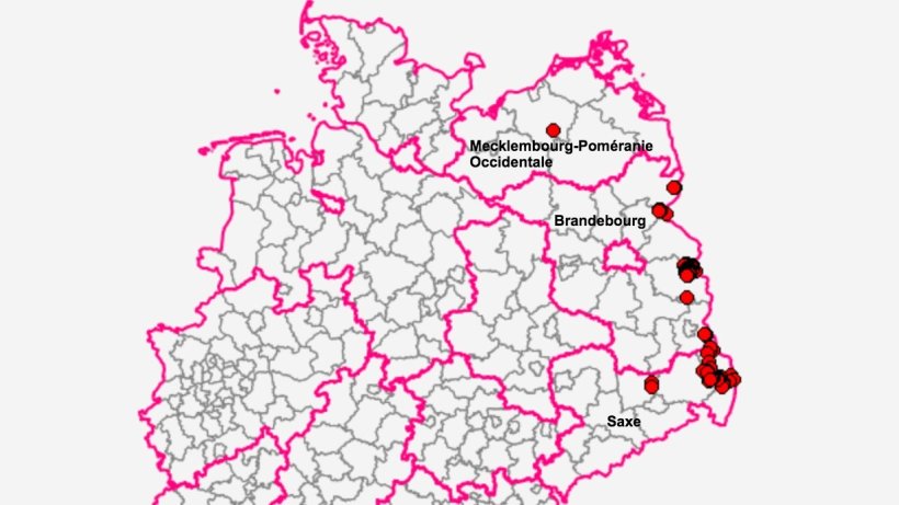 L&auml;nder allemands ayant des cas de peste porcine africaine. Source : FLI.
