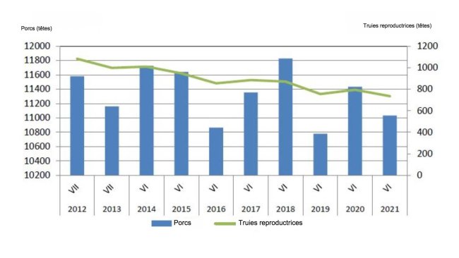 Évolution de l’effectif porcin en Pologne. Source : GUS.