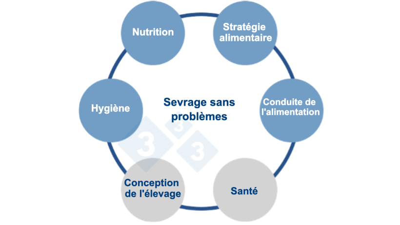 Figure 1 : Une approche multifactorielle de l'alimentation sans zinc. Source : Vilomix.