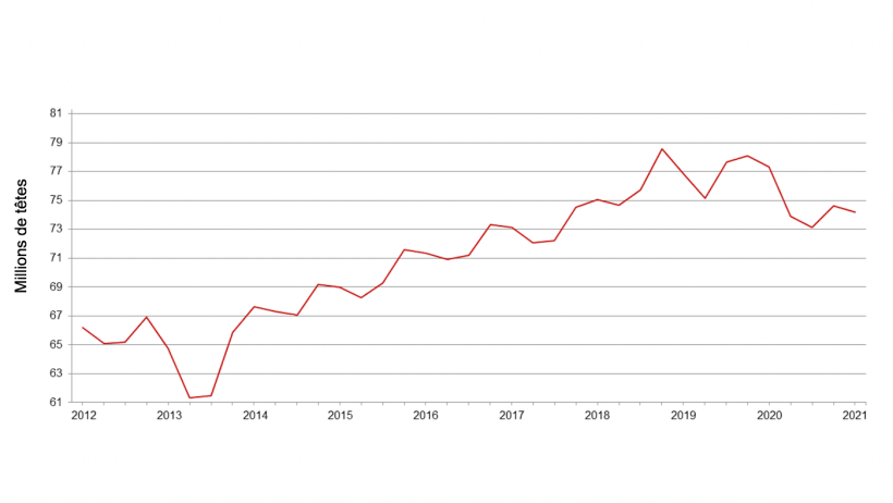 Effectif trimestriel de porcs aux &Eacute;tats-Unis - 1er d&eacute;cembre. Source : USDA.
