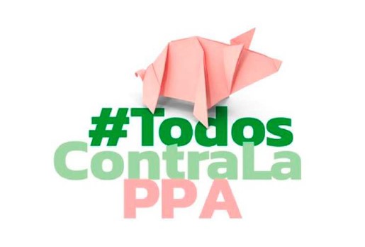 Prévention PPA Amérique