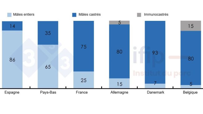 Répartition des abattages mâles selon mâles entiers, castrés ou immunocastrés.