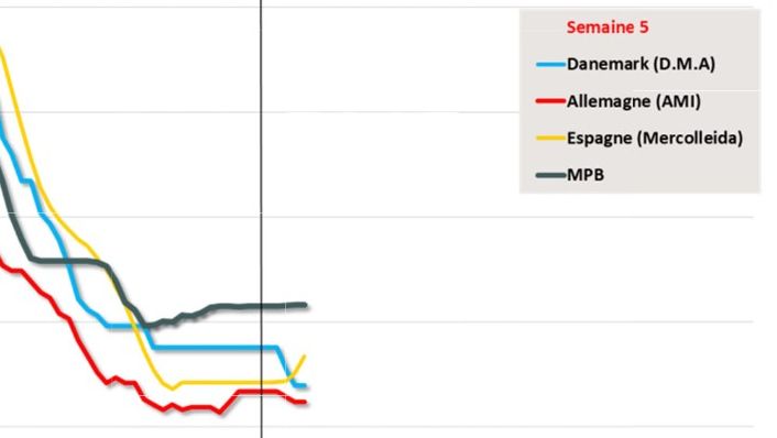 march&eacute; porc breton