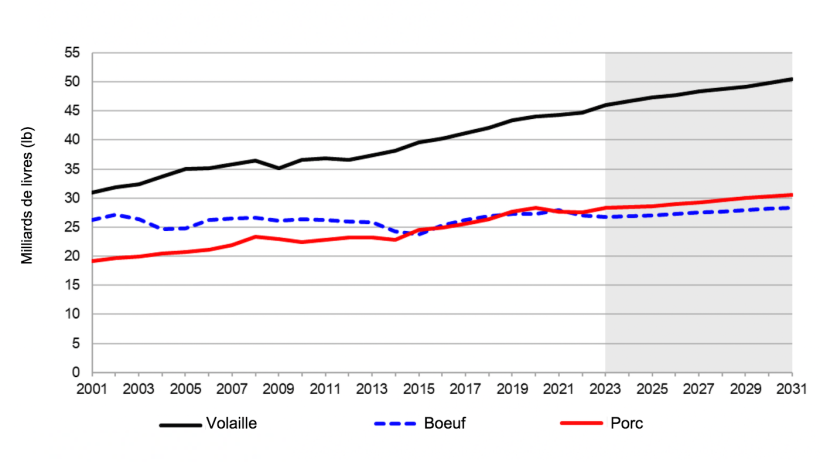 Production animale des Etats-Unis par esp&egrave;ce. De 2021 &agrave; 2031 (estimation). Remarque : la zone gris&eacute;e repr&eacute;sente une estimation. Source : USDA. 5 novembre 2021
