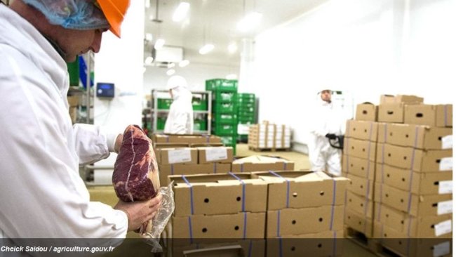 viande antibiotiques facteurs croissance