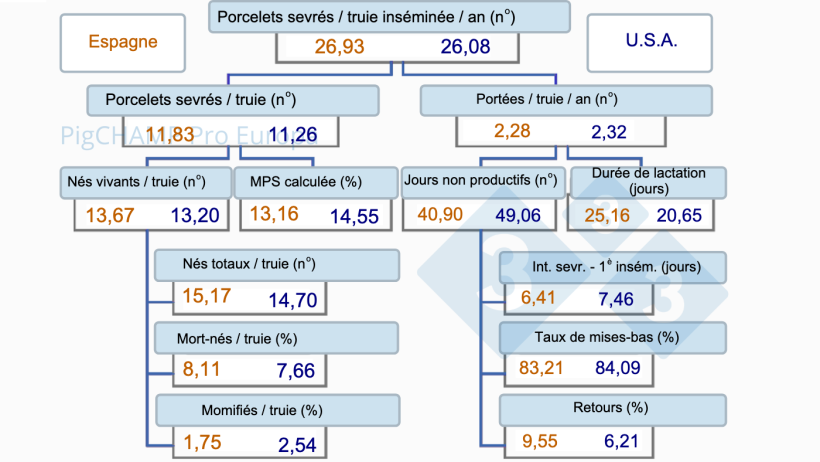 Imagen1. Arbre de productivité, Espagne vs USA, 2019.