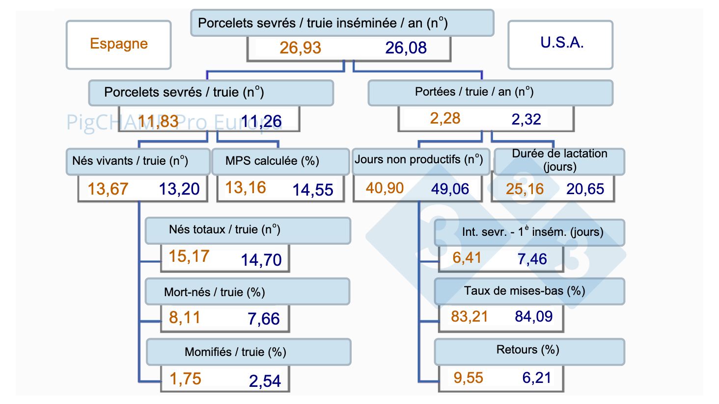 Imagen1. Arbre de productivit&eacute;, Espagne vs USA, 2019.
