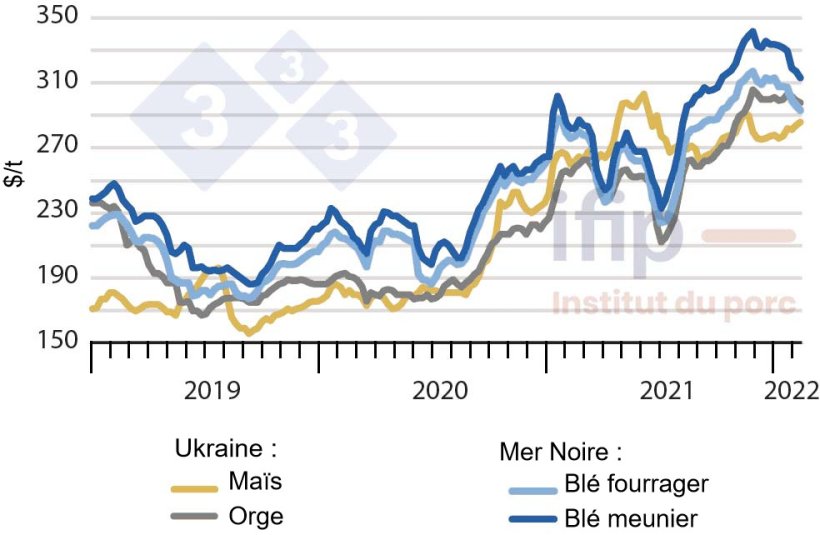 Prix des c&eacute;r&eacute;ales en mer Noire (Source : Ifip d&rsquo;apr&egrave;s APK)