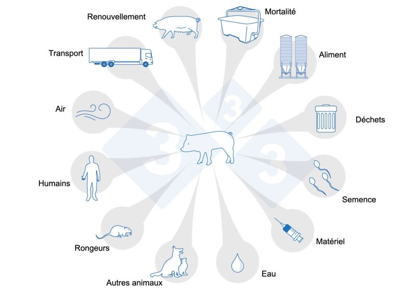 Figure 1 : Voies de transmission du SDRP. Adapt&eacute; de USSEC, 2021 et Broes, et Boutin, 2002.
