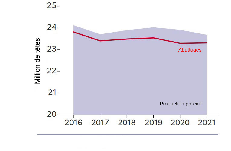 En 2021, recul de la production de porcs