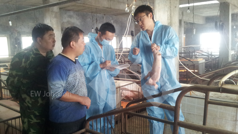 Figure 1 : La visite de l'élevage. James Herriot a dit au vétérinaire de l'élevage : "Vous devez être présent !"