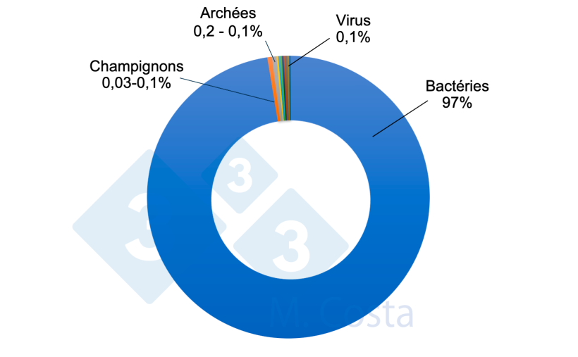 Figure 1 - Estimation de la proportion relative des différents micro-organismes dans le microbiome intestinal du porc. Bien que les bactéries représentent la grande majorité des microbes présents dans l'intestin du porc, d'autres microorganismes jouent un rôle important dans le réseau complexe qui constitue l'interaction entre l'intestin et le microbiote.