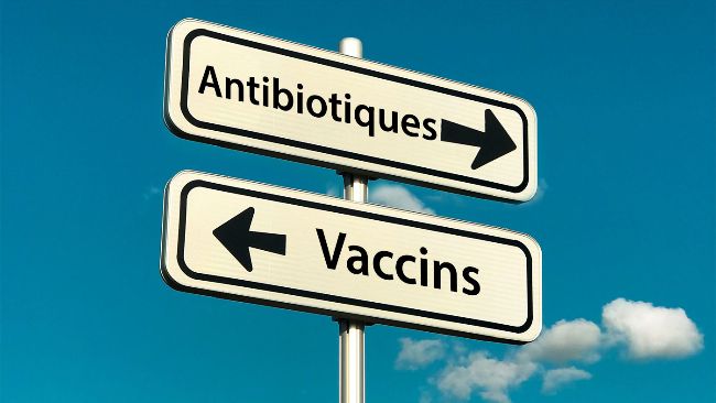 L'intensification de la production d'aliments et l'&eacute;mergence de nouveaux syst&egrave;mes de production (tels que les syst&egrave;mes "&Eacute;lev&eacute; sans antibiotiques" ou les syst&egrave;mes biologiques) ont entra&icirc;n&eacute; l'&eacute;mergence, ou la r&eacute;&eacute;mergence, d'agents pathog&egrave;nes. Ces nouvelles tendances soci&eacute;tales, ainsi que la volont&eacute; de r&eacute;duire l'utilisation des antimicrobiens dans la production animale, soulignent l'importance d'am&eacute;liorer les vaccins existants et/ou de d&eacute;velopper de nouvelles strat&eacute;gies de vaccination pour lutter contre les agents pathog&egrave;nes &eacute;mergents ou r&eacute;&eacute;mergents.
