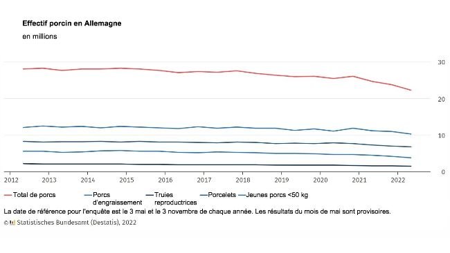 Effectif porcin en Allemagne. Source : Destatis