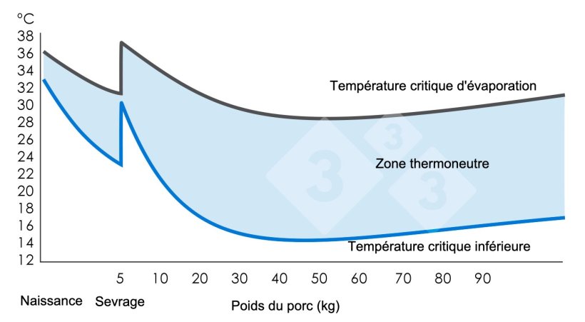Graphique 1. Zone de neutralité thermique ou de confort thermique (où le porc se sent bien). Ministry of Agriculture, Fisheries and Food (1983). Pig Environment. Great Britain: MAFF. (Volume 2410).
