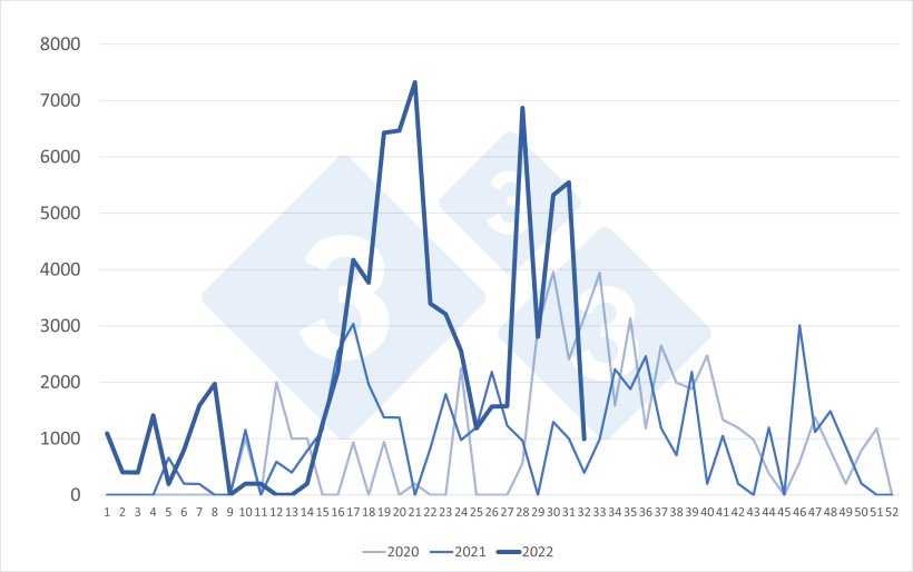 Importations hebdomadaires de porcs n&eacute;erlandais (t&ecirc;tes). Source : 333 selon les donn&eacute;es du RVO.
