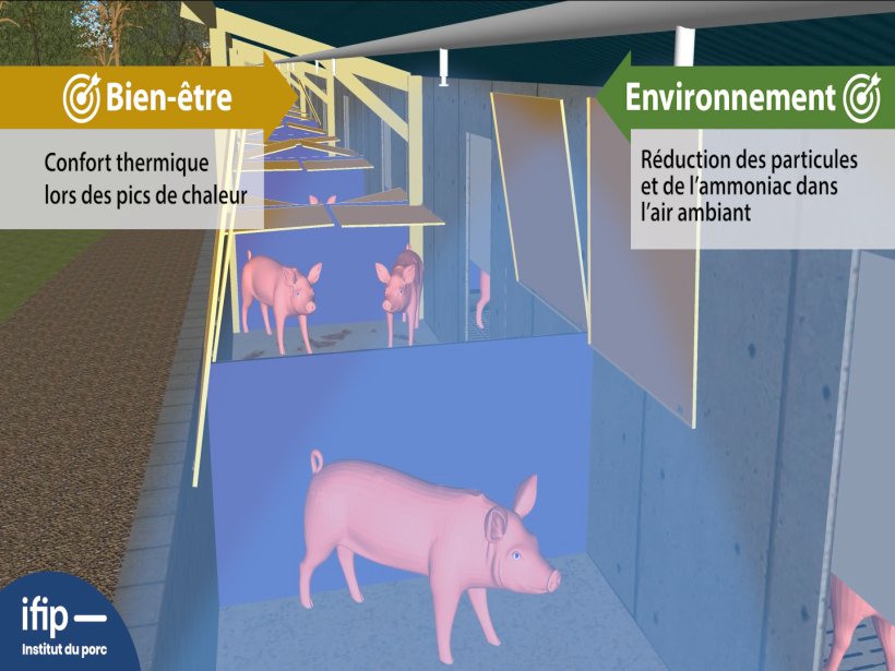 Niches ext&eacute;rieures ouvertes avec brumisation en p&eacute;riode chaude (r&eacute;duction des &eacute;missions d&rsquo;ammoniac et particules) et ferm&eacute;es avec apport de paille en p&eacute;riode froide (confort thermique).
