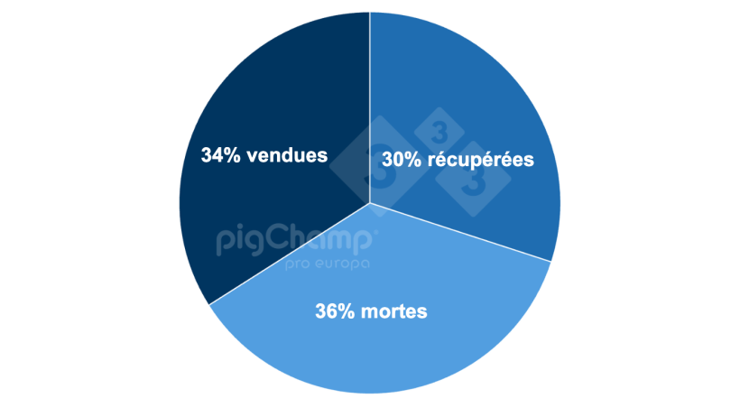 Graphique 2. Répartition des truies sevrant 0 porcelet par destination ultérieure, période de sevrage 20 juillet - 21 juin.