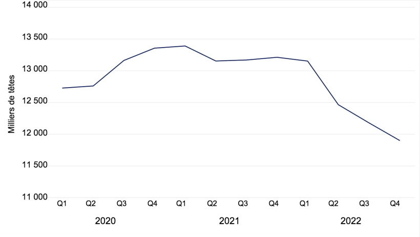 Effectif porcin total au Danemark en milliers de t&ecirc;tes. Donn&eacute;es de Statistics Denmark.

