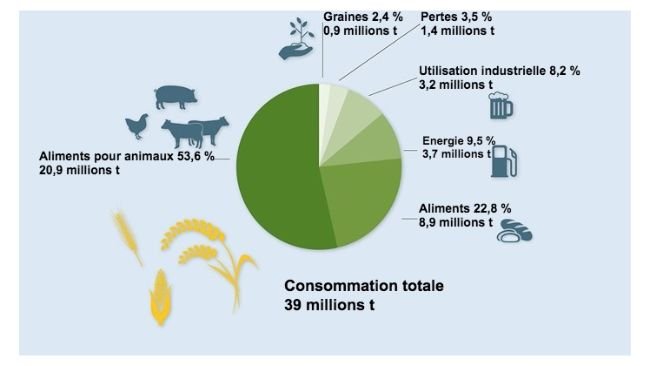 Utilisation des céréales 2021/22. Données préliminaires. Source : BLE