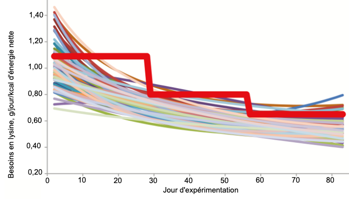 Figure 1. Besoins individuels estim&eacute;s en lysine digestible il&eacute;ale des porcs (lignes fines color&eacute;es) et niveaux minimaux de lysine digestible il&eacute;ale que les porcs nourris dans un syst&egrave;me conventionnel d'alimentation en groupe &agrave; trois &eacute;tapes devraient recevoir (ligne rouge grasse) selon Hauschild et al. (2010).
