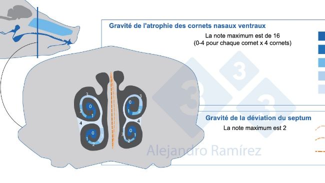 M&eacute;thode de la Pharmacop&eacute;e europ&eacute;enne pour l'&eacute;valuation des l&eacute;sions des cornets.
