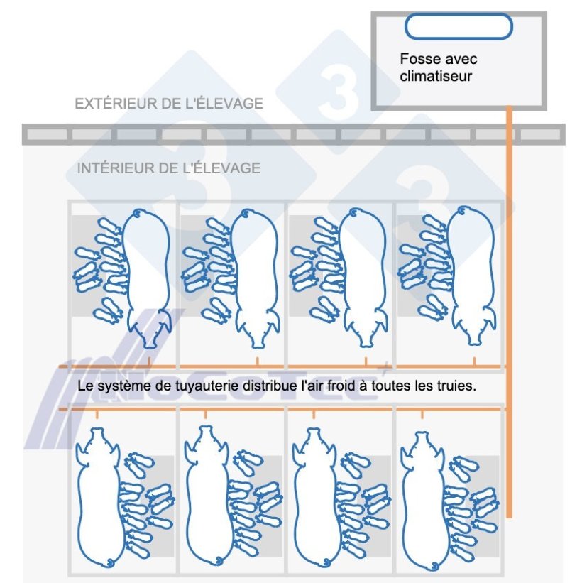 Fonctionnement du système Freshnose