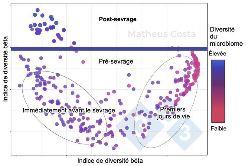 Figure 1. Diagramme de dispersion montrant les associations entre la composition du microbiome des porcs pendant les premiers jours de vie (0-7 jours), imm&eacute;diatement avant le sevrage (21 jours) et apr&egrave;s le sevrage (100 jours). Le changement le plus important est observ&eacute; entre les &eacute;chantillons pr&eacute;-sevrage et post-sevrage. La diversit&eacute; alpha atteint son maximum apr&egrave;s le sevrage (indiqu&eacute;e comme "diversit&eacute; du microbiome").
