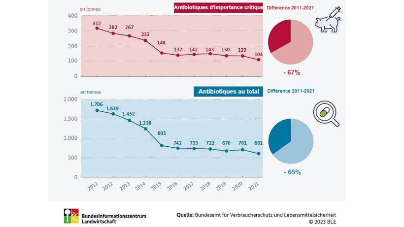 Comment a &eacute;volu&eacute; l'utilisation des antibiotiques dans l'&eacute;levage ? Source : BLE
