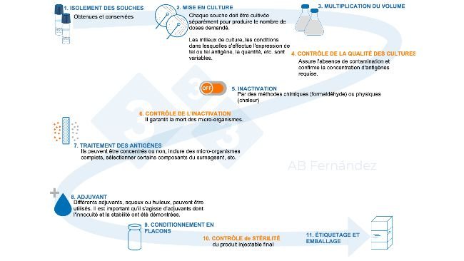Figure 1 : Schéma de la fabrication d'un autovaccin