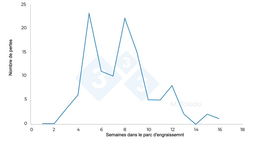 Figure 3 : &Eacute;volution des pertes dans un parc d'engraissement apr&egrave;s l'administration de m&eacute;dicaments : S4 - florf&eacute;nicol dans l'eau de boisson, S6 - marbofloxacine injectable, S8 - thiamuline ou lincomycine dans l'eau de boisson.
