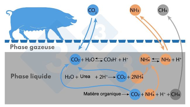 Sch&eacute;ma simplifi&eacute; des r&eacute;actions affectant les &eacute;missions de NH3 et de CH4.
