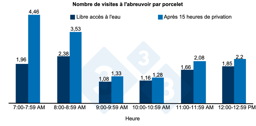 Figure 1 : Nombre de visites à l'abreuvoir par porcelet après 15 heures de privation d'eau ou d'accès libre à l'eau.