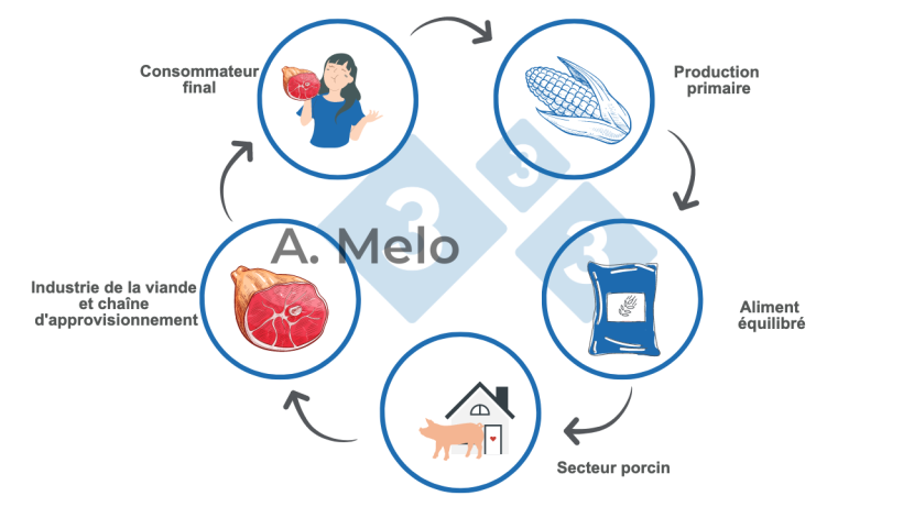 Figure 1 : Graphique de la cha&icirc;ne alimentaire, de la production primaire &agrave; la table du consommateur final.
