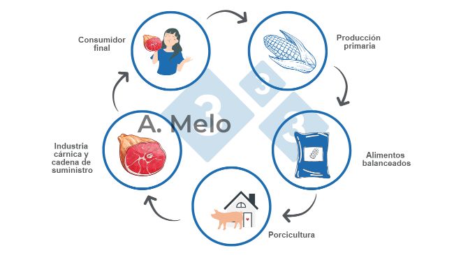 Figure 1 : Graphique de la cha&icirc;ne alimentaire, de la production primaire &agrave; la table du consommateur final.
