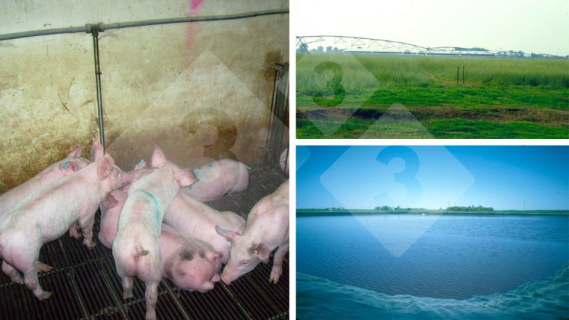 Figure 3 : Une mauvaise gestion des abreuvoirs a un impact n&eacute;gatif sur les co&ucirc;ts d'exploitation et l'environnement.
