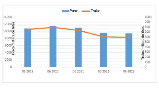 Figure 1. Évolution de l’effectif porcin en Pologne. Source : Office central des statistiques, Pologne.