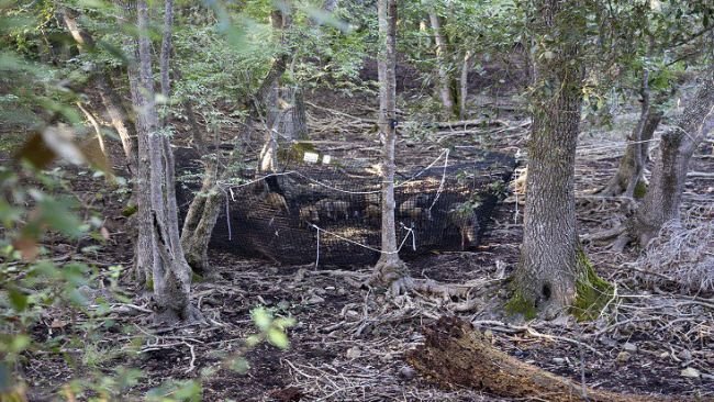 Source : ISPRA (Antonio Petrone)