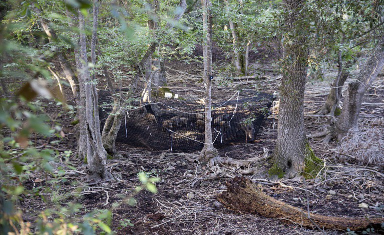 Source : ISPRA (Antonio Petrone)
