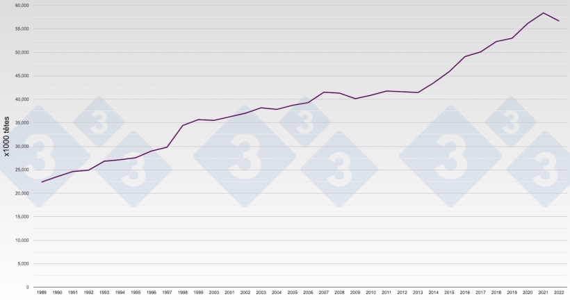 Graphique 1 : &Eacute;volution de la production porcine en Espagne. Nombre de porcs abattus par an.
