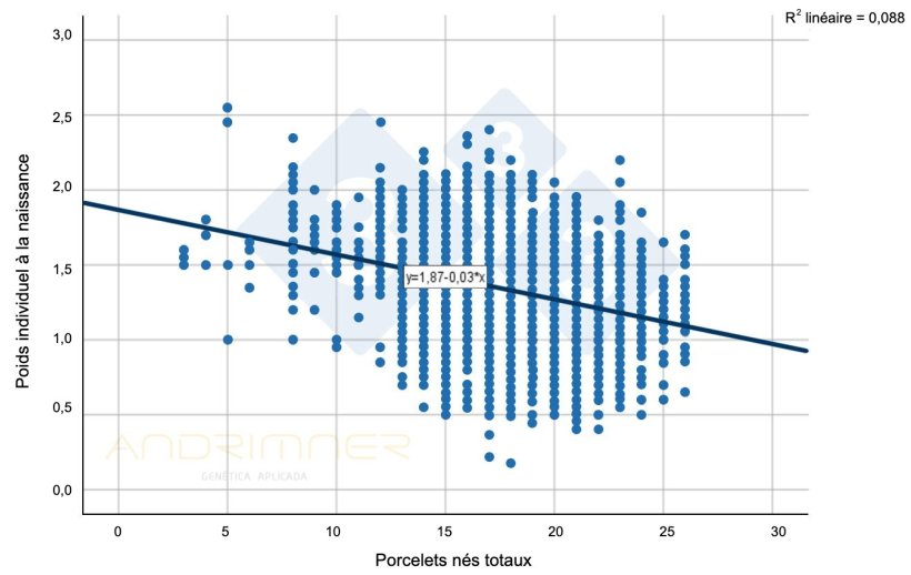 Graphique 1 : Courbe de régression des nés totaux et du poids individuel à la naissance. Source : Javier Lorente. Elevage commercial, 3483 porcelets pesés individuellement . 2021.