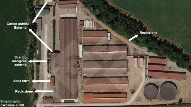 Fig. 1. Vue aérienne de l’élevage de truies.