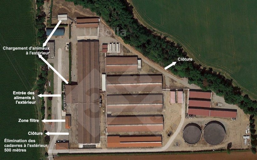 Fig. 1. Vue a&eacute;rienne de l&rsquo;&eacute;levage de truies.
