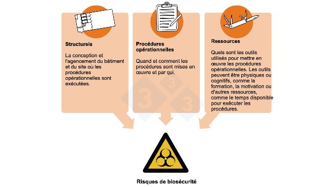 Figure 2&nbsp;: Risques pour la bios&eacute;curit&eacute; et points critiques : aspects des processus de production o&ugrave; des mesures de contr&ocirc;le peuvent &ecirc;tre mises en &oelig;uvre.
