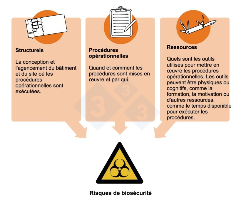 Figure 2&nbsp;: Risques pour la bios&eacute;curit&eacute; et points critiques : aspects des processus de production o&ugrave; des mesures de contr&ocirc;le peuvent &ecirc;tre mises en &oelig;uvre.
