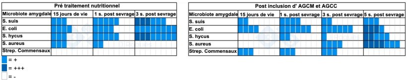 Tableau 2. Nombre d'échantillons positifs en culture avant et après l'incorporation d'ACGM et d'AGCC.