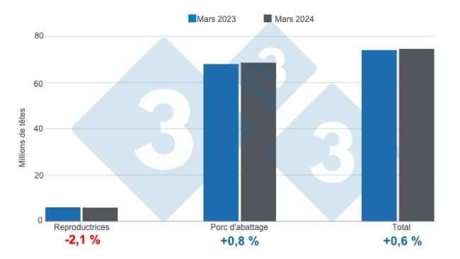 Graphique 1. Effectif porcin aux États-Unis avec coupure au 1er mars 2024, variations annuelles. Préparé par le Service Économie et Intelligence des Marchés de 333 Amérique Latine selon des données de l'USDA - NASS.
