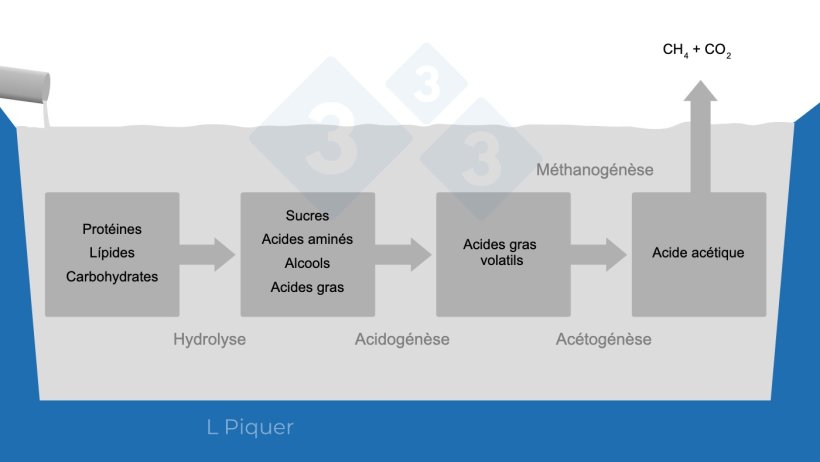 Graphique 1 : Cycle de formation du m&eacute;thane (CH4) pendant le stockage du lisier.
